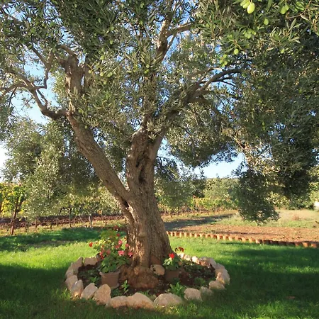 By The Sea Tkon, Pasman - 8410 * 트콘