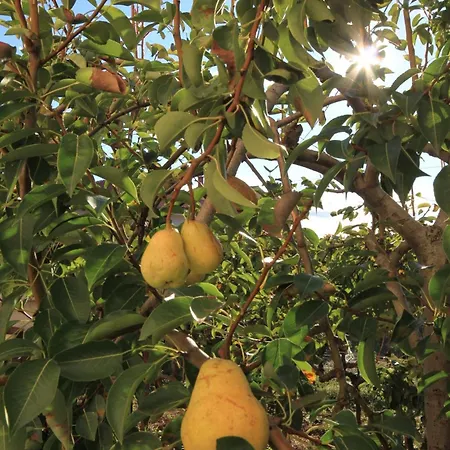 By The Sea Tkon, Pasman - 8410 * 트콘