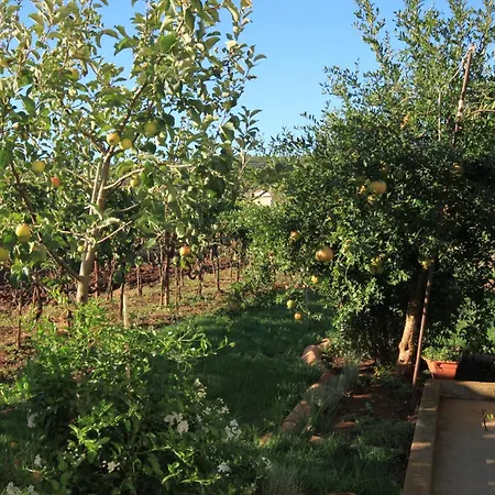 By The Sea Tkon, Pasman - 8410 *