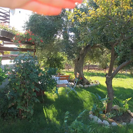 By The Sea Tkon, Pasman - 8410 *